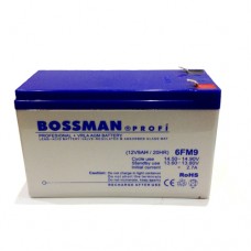 BOSSMAN 6FM9 (12V9.0Ah/20hr) аккумулятор