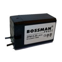 Акумулятор BOSSMAN 2FM0.25 (4V 0.25AH)